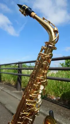 YAMAHA YAS-62LSEⅡ　大事にしてくれる方に是非お譲りしたいのサムネイル