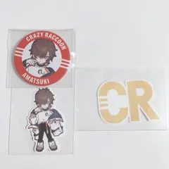 天月 CrazyRaccoon 缶バッジ ステッカー セット