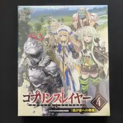 ゴブリンスレイヤーⅡ クリアファイル 女神官＆剣の乙女 セット - メルカリ