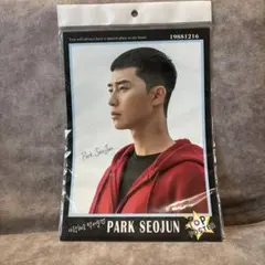 PARK SEO JUN パク・ソジュン 10枚入ポスター