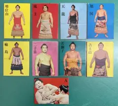 Item thumbnail for item f1f3bae2-cbd5-4fbb-b7e5-7b86ac9d8d93