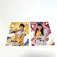楽天イーグルス　売り子カード