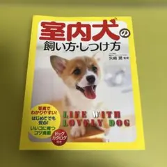 Item thumbnail for item f1529898-adfc-45ac-94cf-0decbc7decb1