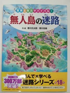 無人島の迷路 - 堀川元太郎　中古　状態は悪くないです。