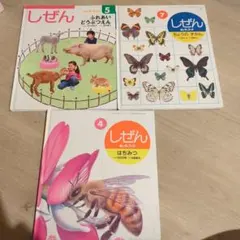 専用　しぜん 絵本 3冊セット
