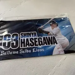 埼玉西武ライオンズ　長谷川信哉