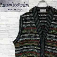 Fantasie di Settembre ニット ベスト カーディガン L