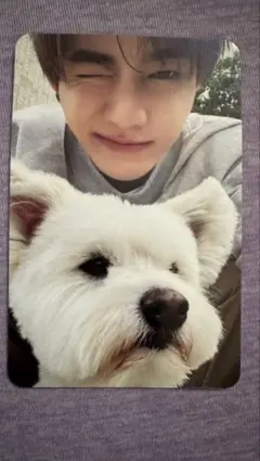 2025年最新】ジャンハオ トレカの人気アイテム - メルカリ