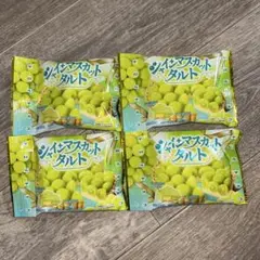 チロルチョコ シャインマスカットタルト 4個セットのサムネイル