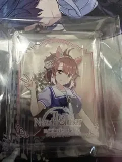 ウマ娘　6th トレーディングCoLotta ダンツフレーム