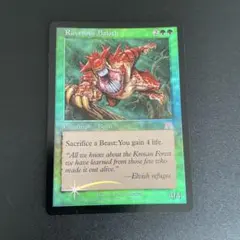 2026年最新】MTG FOIL 英語の人気アイテム - メルカリ