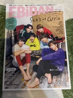 EBIDAN Vol.12 スターダストオフィシャルブック M!LK 超特急