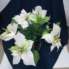 造花 ポインセチア白  (花瓶無し)