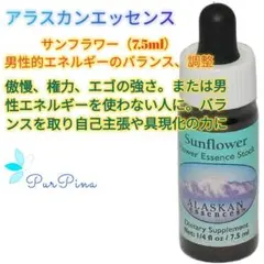 Item thumbnail for item 99cd39b9-ded9-43b2-bb58-ce4fcd5825a9