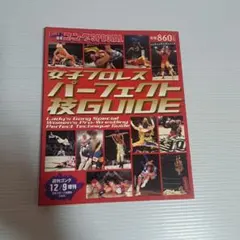 週刊Lady'sゴングSPECIAL　女子プロレスパーフェクト技GUIDE