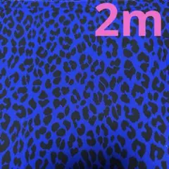 シーチング★１枚限り★ヒョウ柄★ブルー★