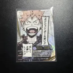 ハイキュー!! バボカ!! 日向翔陽 頂p ユース＆強化合宿
