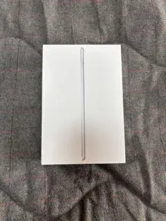 iPad mini 第5世代 本体 シルバー 64GB ケース フィルム付き