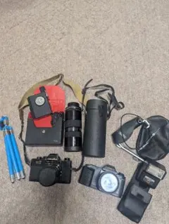 Item thumbnail for item b8f00f91-ee83-4adb-8cb4-95e3936c8227