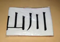 Item thumbnail for item 43e0996a-d6f0-4a6d-9788-f92bb49c676f