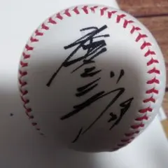 2026年最新】新沼慎二の人気アイテム - メルカリ