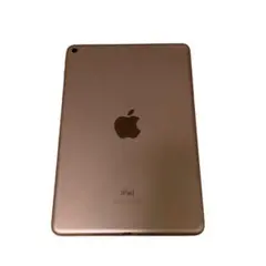 iPad mini 第5世代ゴールド 64GB 美品