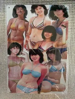 新品未開封　河合奈保子　オマージュアルミプレートブリキ看板③ セクシー　かわいい