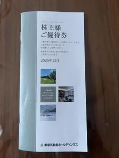 株主優待券 東急不動産ホールディングス1000株