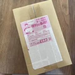 【新品未開封 】ポケモンセンター ヒロシマ スペシャルBOX ※即日発送