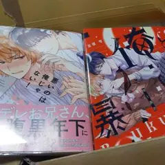 商業 BL 新刊 含 組み換え可能　悪いのは俺じゃない！
