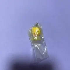 Straykids Bbokari めじるしアクセサリー フィリックスSKZOO