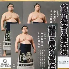 2026年最新】妙義龍の人気アイテム - メルカリ