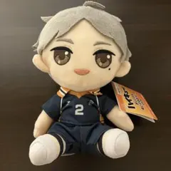 ハイキュー 菅原孝支