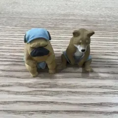 どうぶつサウナ　パグ　芝犬