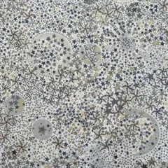 Item thumbnail for item fac1fab1-64e1-4553-ab9b-9d7612744829