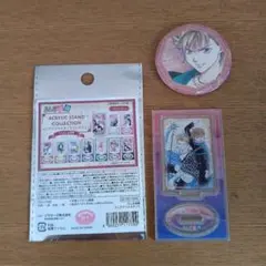 ふしぎ遊戯　セリア　アクリルスタンド　缶バッジ　翼宿　井宿