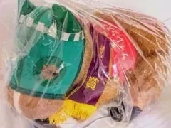 競馬 Avanti サイレンススズカ Sサイズぬいぐるみ 第34回金鯱賞 レア