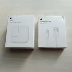 Apple USB Adapter & Lightning Cable