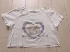 XIAOZHAINV 犬猫プリント クロップドTシャツ