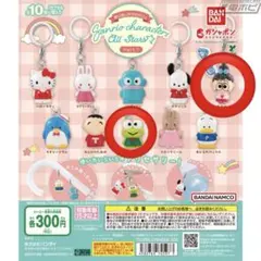 サンリオ　めじるしアクセサリー