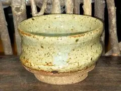 2025年最新】古信楽の人気アイテム - メルカリ