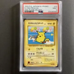 そらをとぶピカチュウ_ANA 「みんなにうれしいキャンペーン」 プレゼントカー… そらをとぶピカチュウ_ANA 「みんなにうれしいキャンペーン