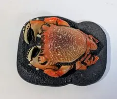 〈ビンテージフィギュア アサヒガニ 「国立科学博物館監修 科博所蔵品再現モデル」 2025年最新】科博所蔵品 再現モデルの人気アイテム - メルカリ