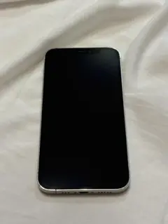 Apple iPhone12 Pro 256GBのサムネイル