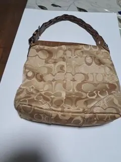 Item thumbnail for item 052a7969-2348-4b80-8503-f0b588754d11