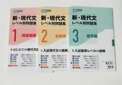 新・現代文レベル別問題集 1, 2, 3 セット