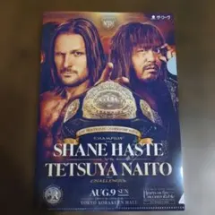 プロレスリングNOAH 8.9 クリアファイルシェインヘイストvs内藤哲也のサムネイル