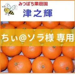 ちぃ@ソラ様 専用 みつばち果樹園 津之輝 5kg