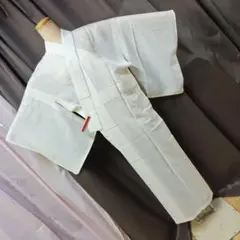 長襦袢・正絹・絽 ☆ 『 2401 』☆ ( 159㎝前後の方)