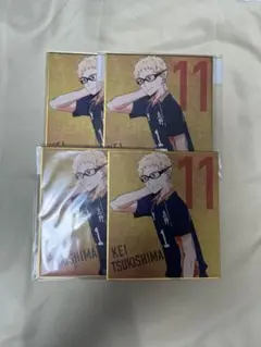 月島 蛍 ミニ色紙 ゴミ捨て場の決戦展